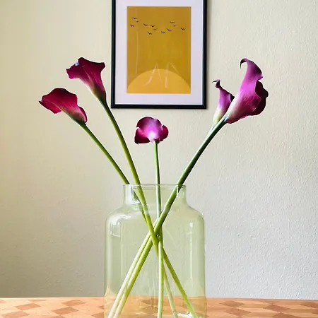 Apartment Kuechwaldblick Designsuite *