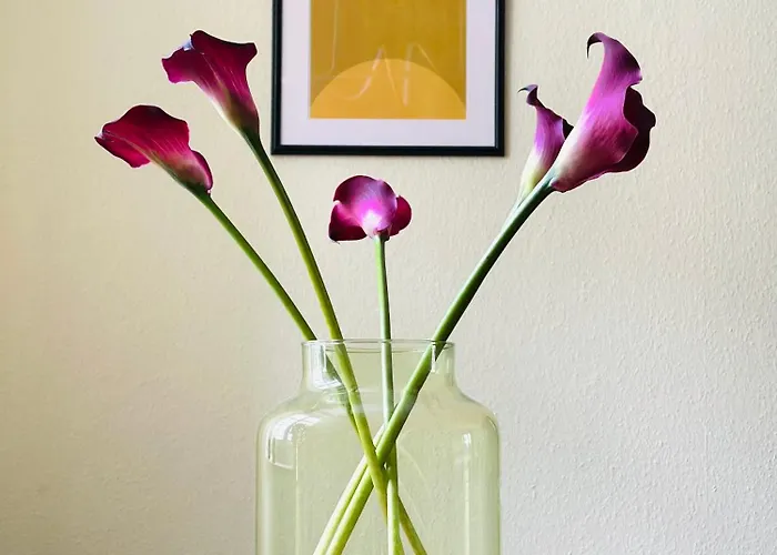 Апартаменты Kuechwaldblick Designsuite *